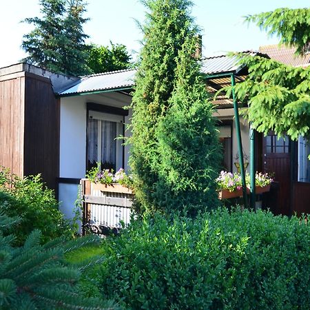 Holiday Home In Cattenstedt Harz With Garden المظهر الخارجي الصورة